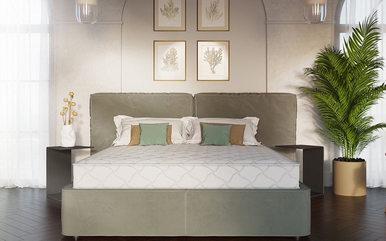 Evita Пружинные Basis фото 4